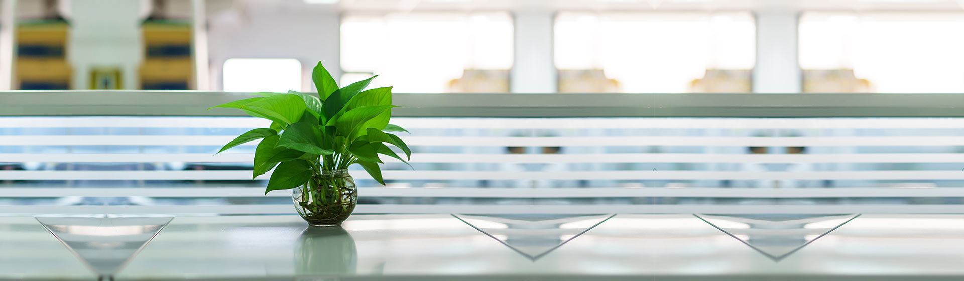 office front desk with plant